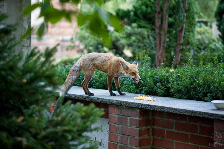 С новым годом! Ну или как-то так...